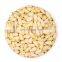 Byloo good quality wholesale pine nut kernel pinenuts for food good healthy from chinese to Thailand