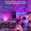 Voice Control Starry Projector Lamp Wireless Speaker Music Sync Galaxy Projector Light Smart WiFi Star Projector With Remote