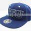 your own style university snapback hats with puff embroidery