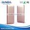 type-c power bank 5000mah charger corporate gadget slim and pocket size