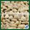 green arabica coffee beans bulk green coffee beans for sale