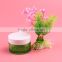 thick wall bottle esries 30g face cream bottle