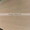 3.0MMX1220X240 Red Oak Fancy Plywood