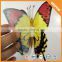 Price crash reflective removable 3d character butterfly wall sticker