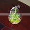 Indoor Flowering Cactus Succulent Glass Terrarium Vase Bonsai for Sale