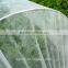 Anti-UV Spunbonded PP Nonwoven Fabric for Vegetable Cover, Landscape