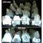 CE Shenzhen Making Fancy Dinosaur Led Night Light