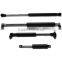 2016 compression gas spring for supporting the door of the breakfast car