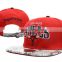 new design custom snapback hat/hip hop snapback hat and cap/flat bill snapback hats with 3D embroidered logo
