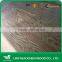BLUE HORSE High Quality FULL LARCH PLYWOOD 14.5mm