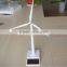 Mini solar windmill model as gift
