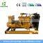 China High Quality Biogas Generator / Biomass Cogenerator / Landfill Gas Generator