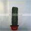 artificial plant Immortal stick