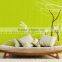 (L00020)bamboo design rose flower non woven wall mural