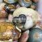 Natural High Quality Ocean Jasper Heart Shaped Stones Ornament
