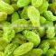 China Dried Green Raisins for Best sale