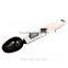 Stainless Steel Kitchen Lab Electronic Spoon Scales Weight Spoons Measuring Scale Measure LCD Digital 300g/0.1g