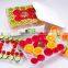electric fruit dehydrator with GS & UL approves