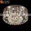 indoor decoration light chandelier indoor hanging light,indoor lighting OMI026-400