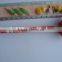 plastic lovely pig mechanical pencil for writing