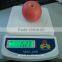 High Quality 5KG kitchen Digital Weighing Scales for home use or person