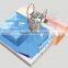 2016 wall-hung pipeless swimming pool filter portable PK8025