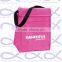 Lovely bear design lunch cooler bag / hand carry bag