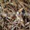 BOILED ANCHOVY FISH, BOIL ANCHOVY FOR EXPORT/ IMPORT (Email: katherine.vilaconic@gmail.com , Viber, Whatsapp: +841687264621)