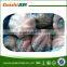select quality fresh frozen gaint octopus