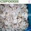 Frozen IQF White Button Mushroom Made in China