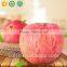 Best Selling Fresh Fruit Fuji Apple
