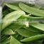 china fresh snow pea and sugar snap pea