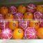 Orange and Lemons Fresh Oranges From Egypt