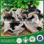 100% natural organic dried black fungus with white back
