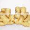 Online Buy Wholesale Fresh Ginger from China Weifang