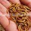 dried mealworm bird food&aquarium fish food