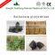nature extractum glycyrrhizae liquidum used for making cold medicine