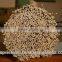 BEST RATE - Bamboo Sticks for making Incense (Whatsapp: +84-973403073)