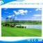 Cheap thick garden fake grass carpet on sale