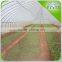 EU Standard Plastic Film Greenhouse