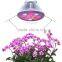 Par38 Grow Lamp 12W Led Grow Light/Grow Led Light