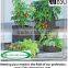 Grow Bags,Vegetable Pots and Planters to Plant Tomatoes, Peppers, Herbs and Potatoes