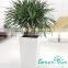 small plastic plant pot wholesale