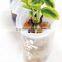Flower pot stand pictures