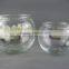 glass fish bowl /round glass fish bowl
