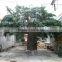 2017 hot sale China wholesale plastic artificial large outdoor artificial tree