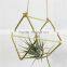 Tillandsia gold flower small metal container iron cubic geometry four airplant receptacle