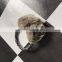 SJ774 Top Quality Warm Rex Rabbit Earmuffs