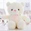 Customized Led Teddy Bear Plush Light Toy Wholesale