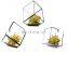 terrarium geometric glass terrarium wholesale drop shape